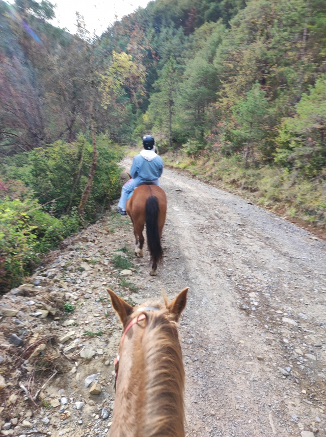 Avis de Alba concernant Équitation à travers Jaca 1 heure Avis de Alba concernant Équitation à travers Jaca 1 heure