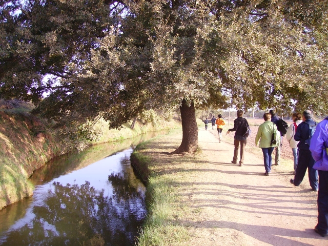  Parc de Die Dürre