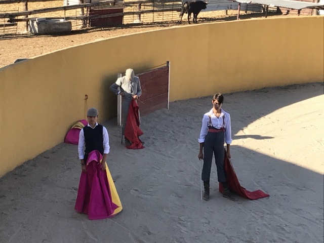 Bullfighting show in Brunete 