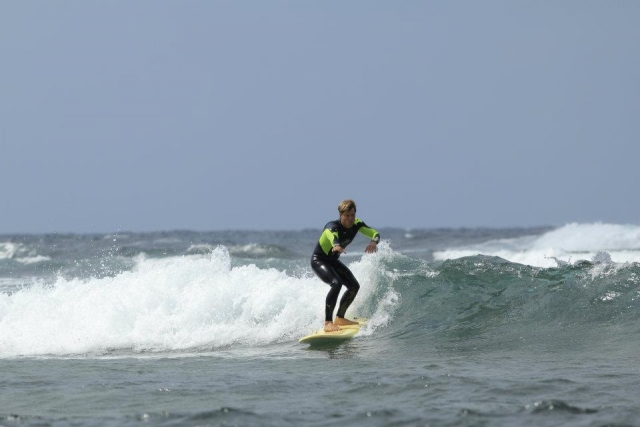 reef surf