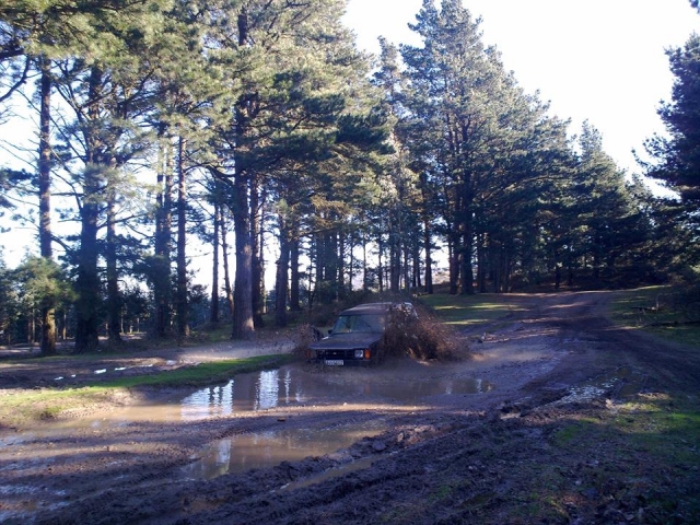 rutas 4x4 en el bosque