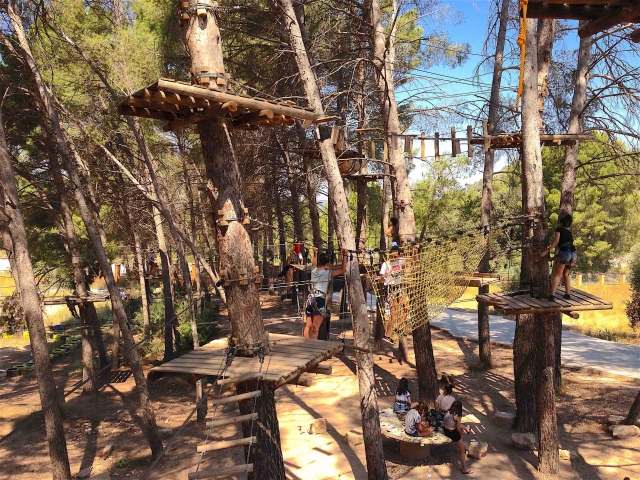 Parque en los arboles