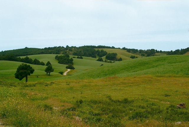 Entorno de la granja