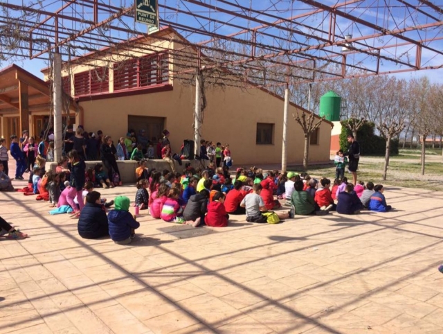 e-19664125-actividades-con-los-peques-en-el-patio15156014355326.jpg