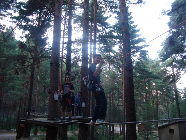 Actividades en nuestro circuito de arboles