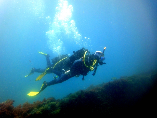 Cursos de buceo