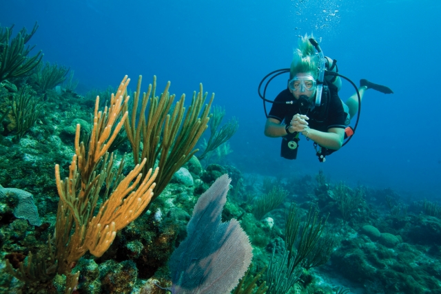 Buceo en estepona