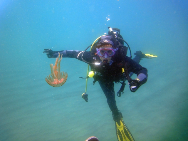 Buceando con especies marinas