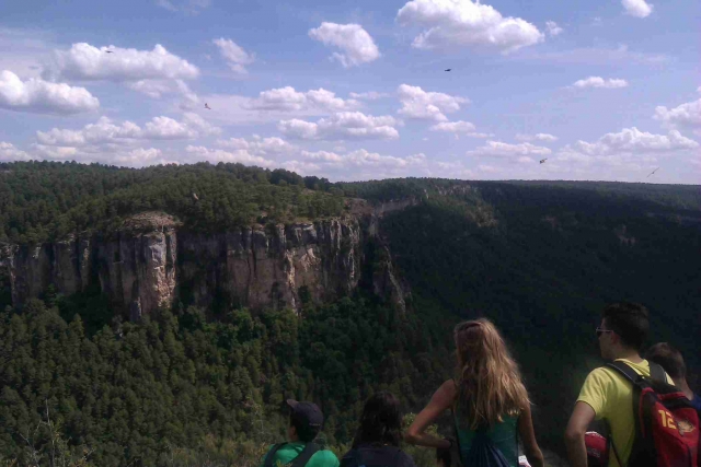  nature 