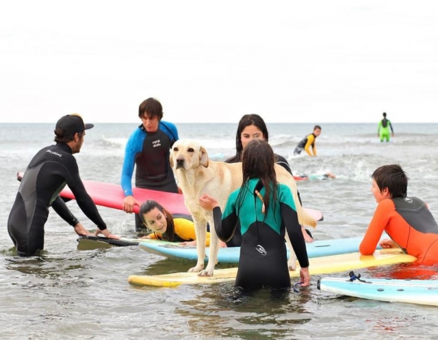 Alumnos de surf acariciando al perro