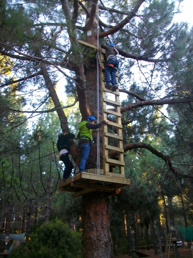 imgp6117-acropark-de-canarias.jpg