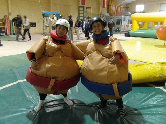  Children's sumos 
