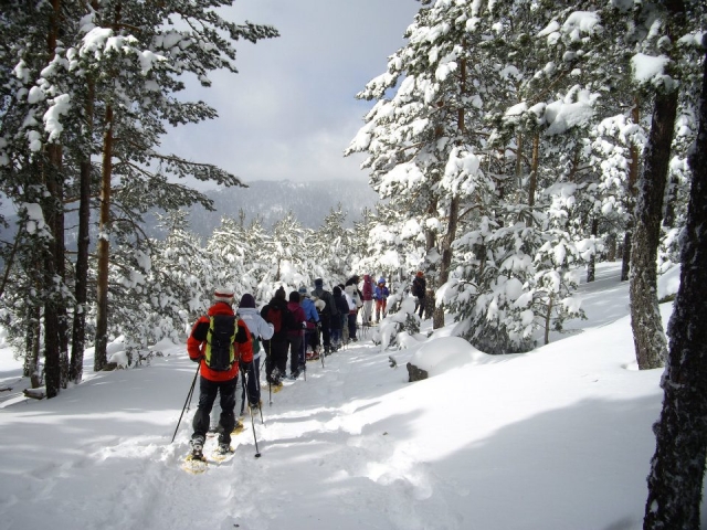  Winter trek with the entire company 