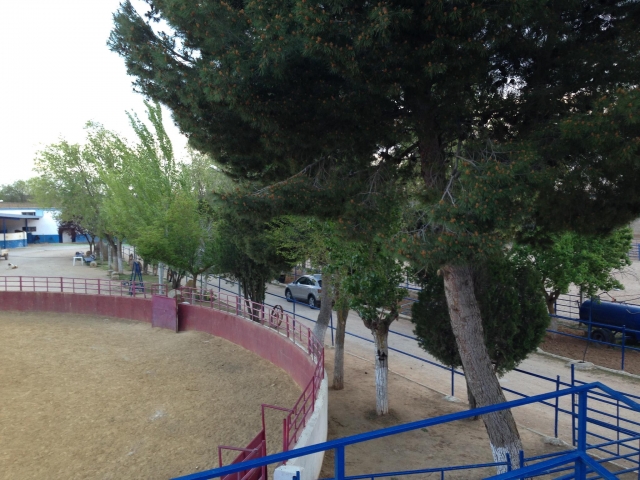 Plaza de tientas en Tarancon