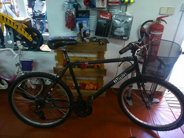 Bicicleta com cesto para alugar em Sevilha 