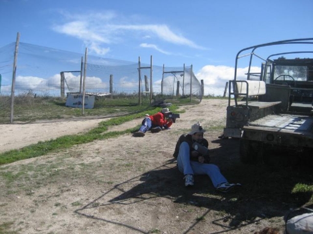 e-19667173-juega-al-laser-combat15090328591706.jpg