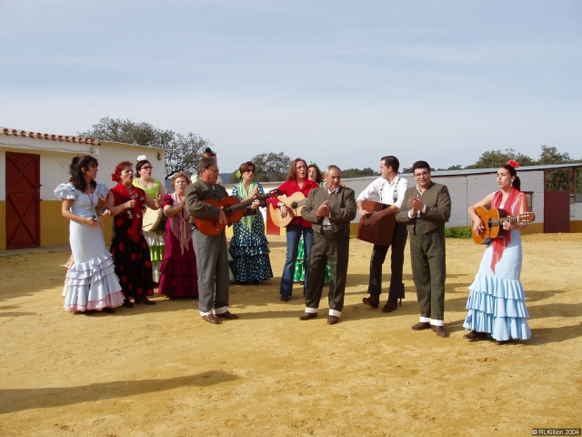Tarde flamenca