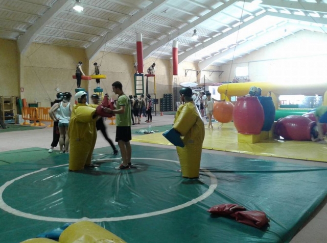  Sumo combat