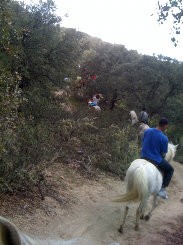 Haz una ruta a caballo