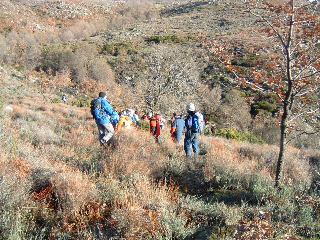 image62.JPG