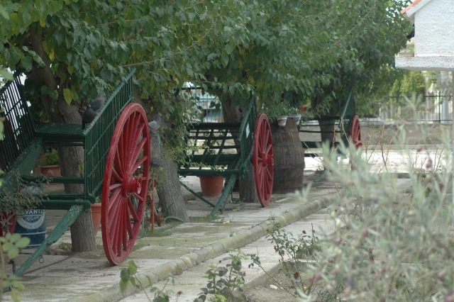  Godetevi la nostra fattoria 