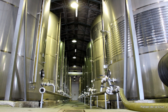 Proceso del vino