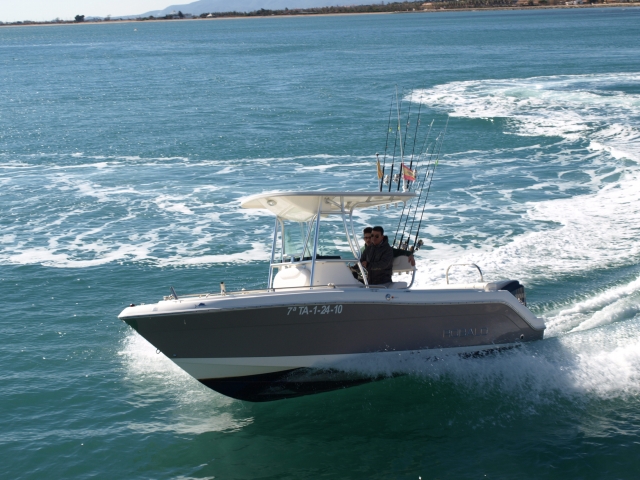  Motor ROBALO 250hp 