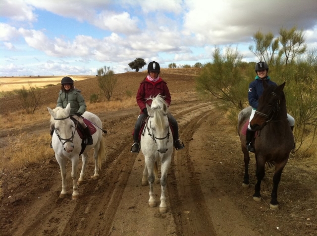 Rutas para todos los niveles de equitacion