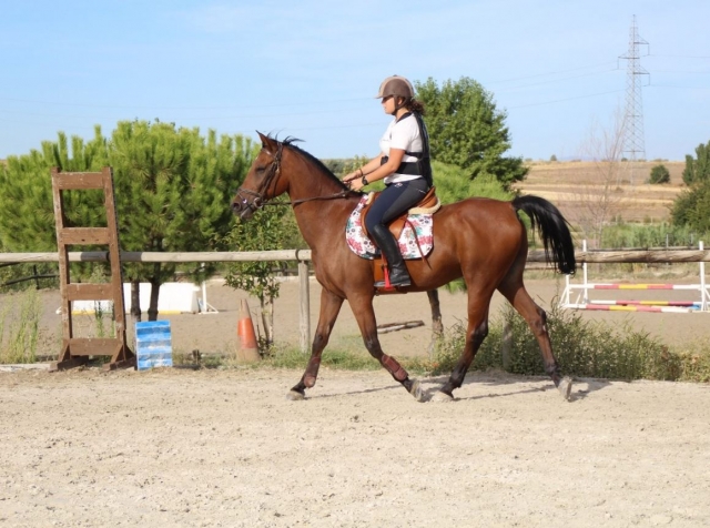 Paseando a caballo en la hipica de Brunete