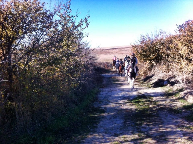 Paseo a caballo alrededores de Brunete