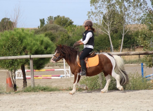 Practicando la hipica en Brunete