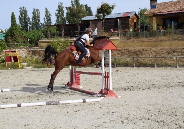 Salto de obstaculos a caballo en Brunete