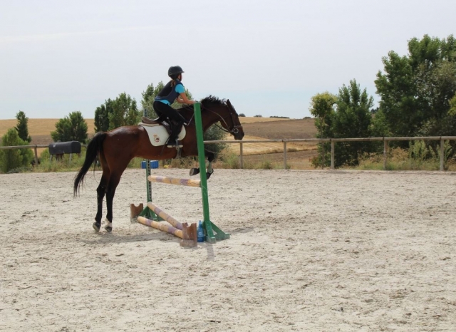Salto en el club ecuestre de Brunete