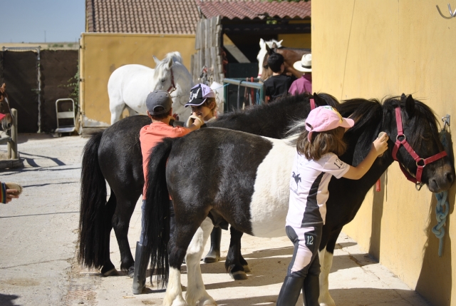 Cuidando de los ponys