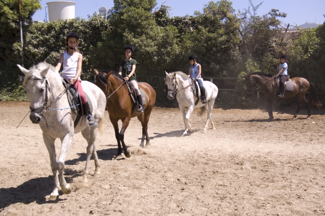  Lezioni di equitazione 