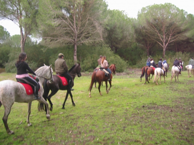  Gite in campagna 