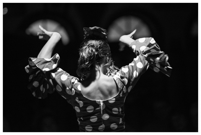  flamenco 