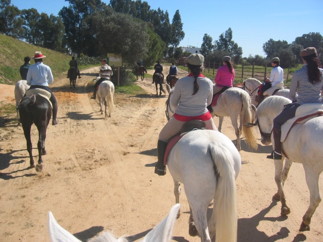  Equitazione 