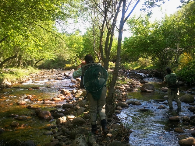 Nuestros guias entrenando