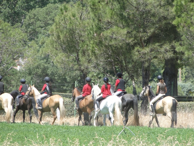 Grupo a caballo hacia la arboleda