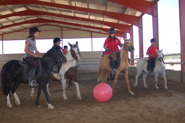 Juegos con los caballos y la pelota