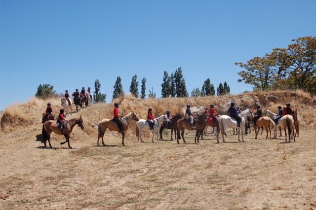 Excursion equina