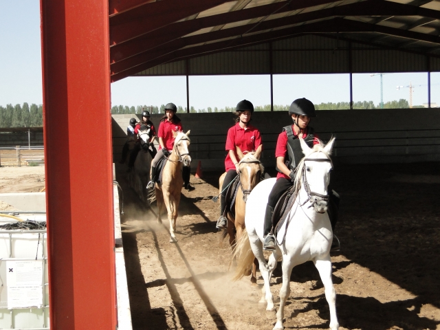 clases con los caballos