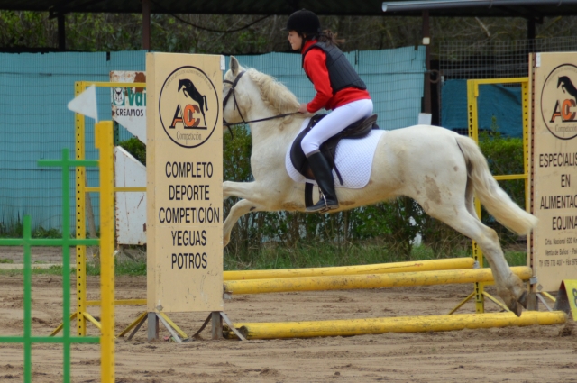 Competicion de salto