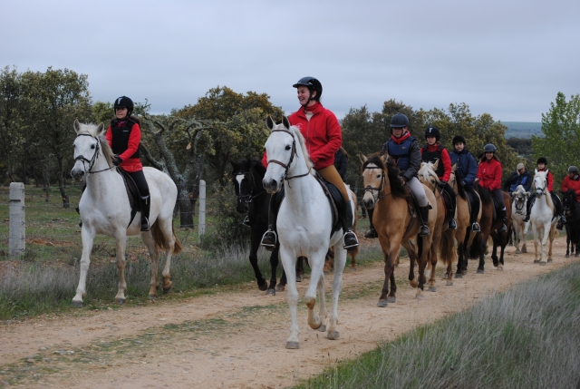 Con los caballos de romeria