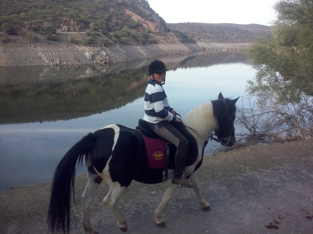 Disfruta de nuestros paseos a caballo