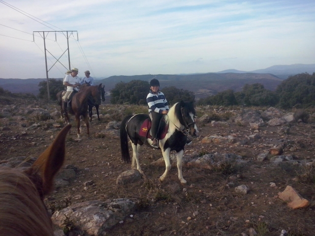 Pasion por los caballos