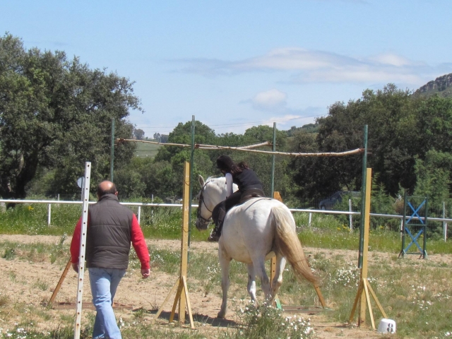 Superando los obstaculos a caballo