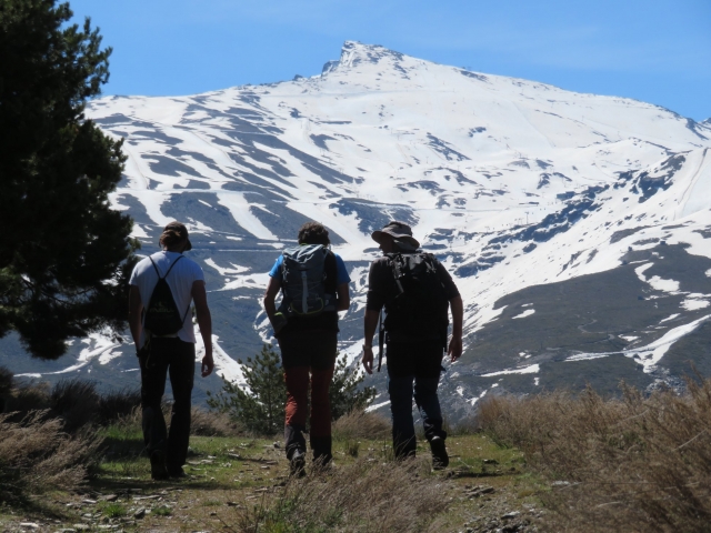  Veleta 