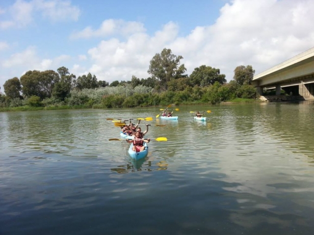  Mostrando os remos ao sol 